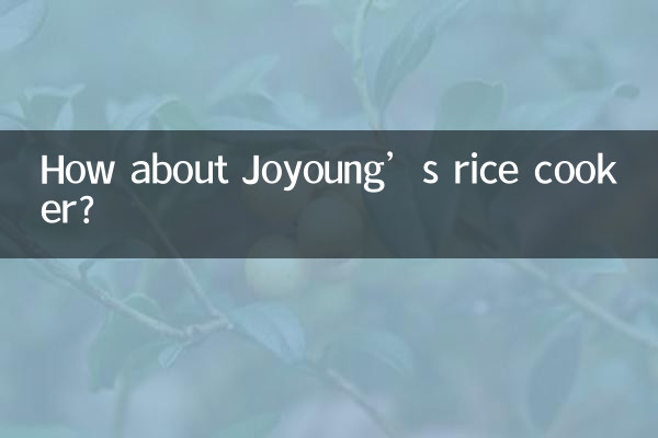 How about Joyoung’s rice cooker?
