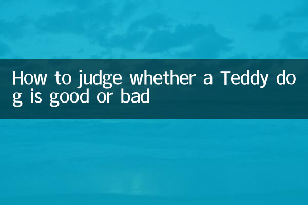 كيف نحكم على ما إذا كان كلب تيدي جيدًا أم سيئًا