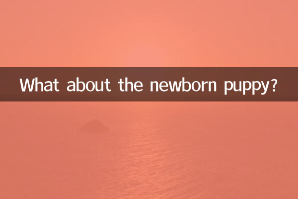 Et le chiot nouveau-né ?