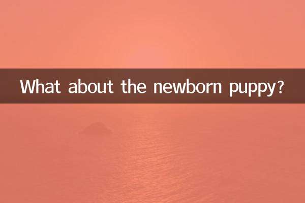 Et le chiot nouveau-né ?