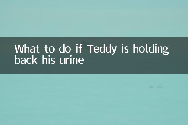 テディが尿を我慢している場合はどうすればよいですか