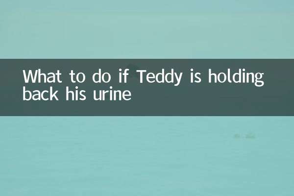 テディが尿を我慢している場合はどうすればよいですか