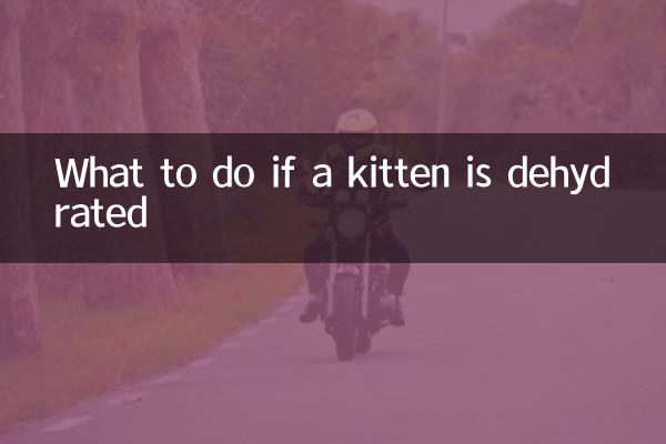 O que fazer se um gatinho estiver desidratado