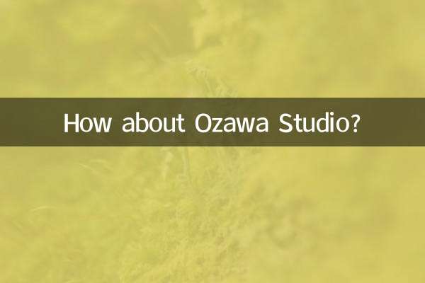 ¿Qué tal el Estudio Ozawa?