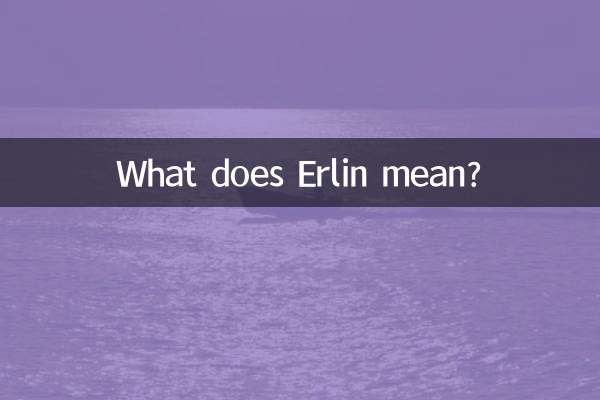 ارلین یعنی چی؟