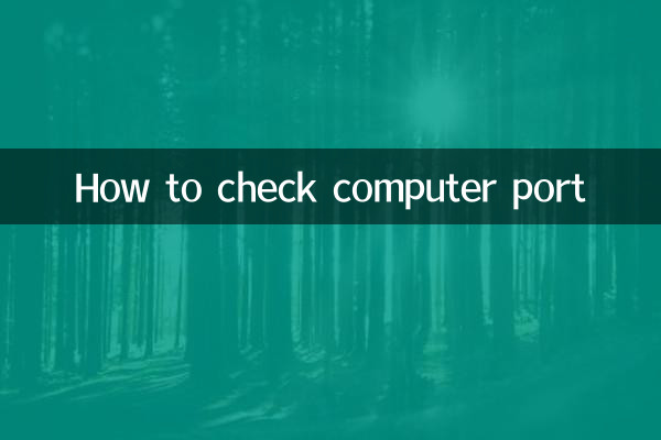 How to check computer port