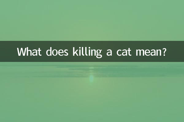 고양이를 죽인다는 것은 무엇을 의미합니까?