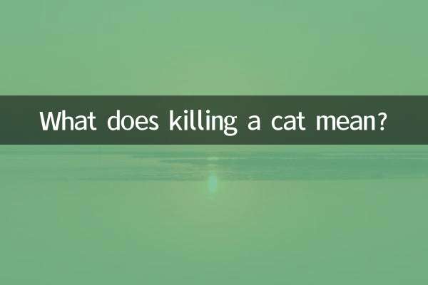 고양이를 죽인다는 것은 무엇을 의미합니까?