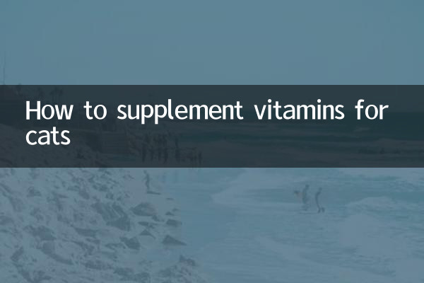 Como suplementar vitaminas para gatos