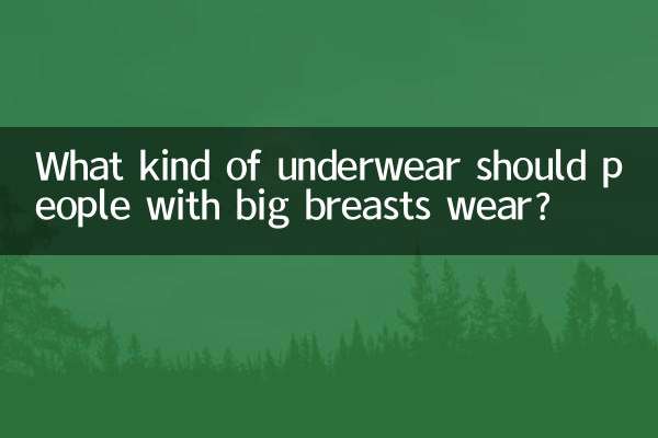 Que tipo de roupa íntima as pessoas com seios grandes devem usar?
