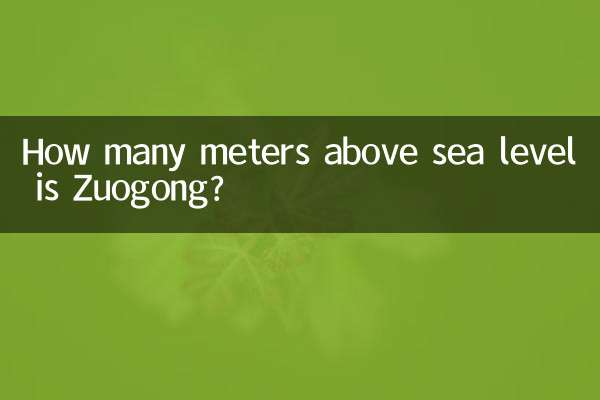 Zuogong은 해발 몇 미터입니까?