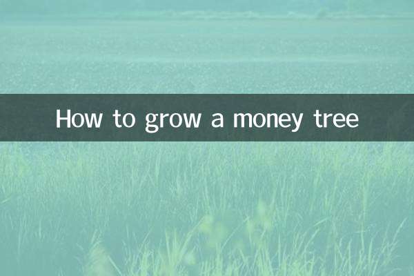 돈나무를 키우는 방법