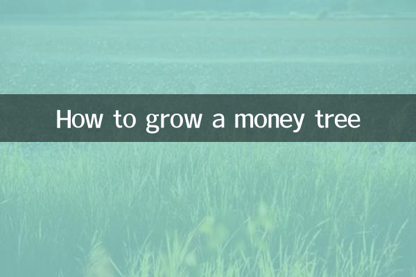 돈나무를 키우는 방법