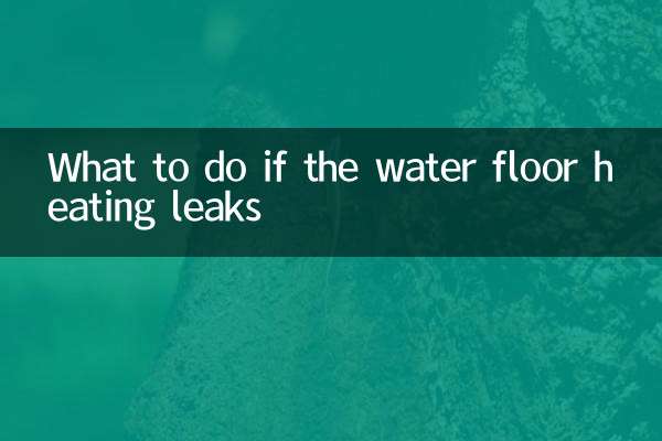 জলের ফ্লোর হিটিং লিক হলে কী করবেন