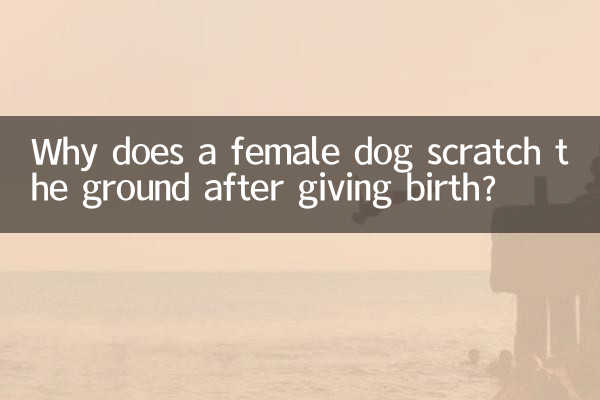কেন একটি মহিলা কুকুর সন্তান জন্ম দেওয়ার পরে মাটি আঁচড়ায়?