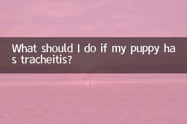 আমার কুকুরছানা ট্র্যাকাইটিস হলে আমার কি করা উচিত?