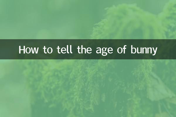 Como saber a idade do coelho