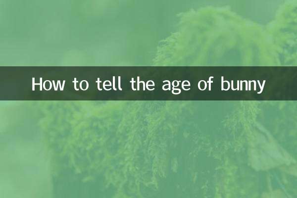 Como saber a idade do coelho