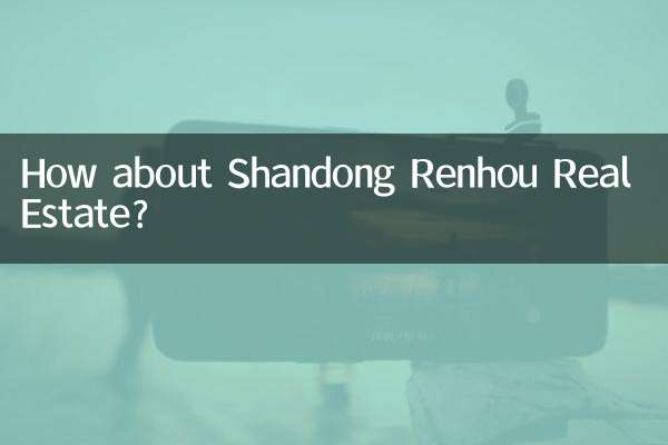 Shandong Renhou 부동산은 어떻습니까?