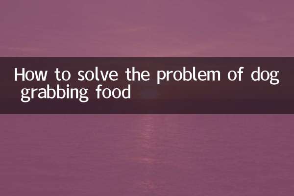 چگونه مشکل غذا گرفتن سگ را حل کنیم