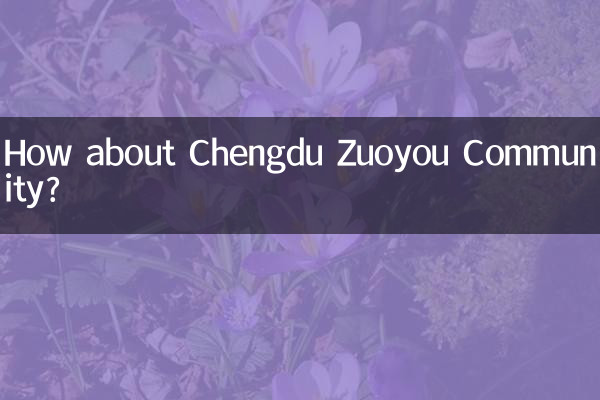 Wie wäre es mit der Chengdu Zuoyou Community?