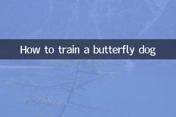 蝶の犬を訓練する方法