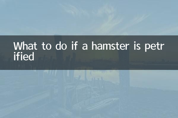 Was tun, wenn ein Hamster versteinert ist?