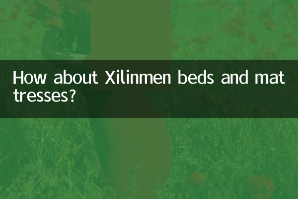 Qu’en est-il des lits et matelas Xilinmen ?