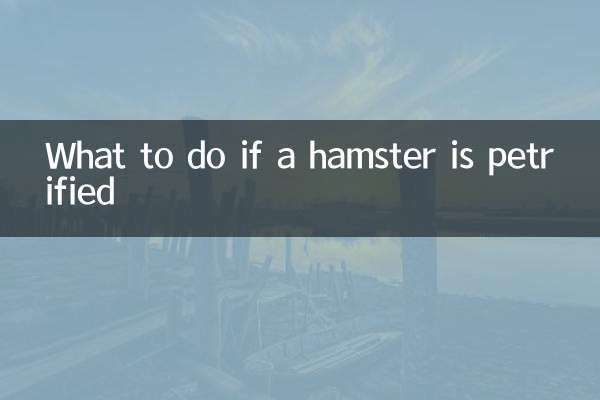 What to do if a hamster is petrified