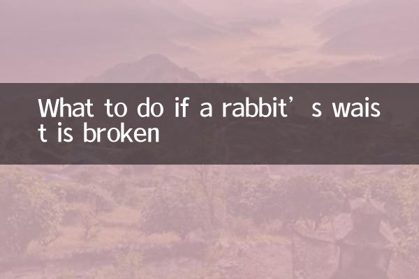 O que fazer se a cintura de um coelho estiver quebrada