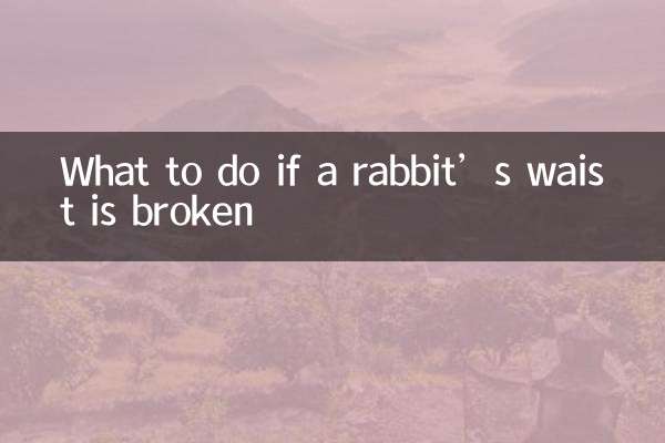 O que fazer se a cintura de um coelho estiver quebrada