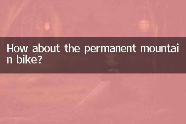 Wie wäre es mit dem permanenten Mountainbike?