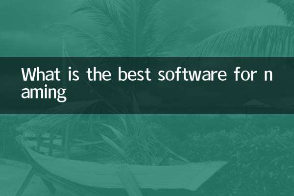 Qual è il miglior software per la denominazione