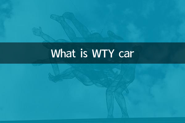 Wty کار کیا ہے؟