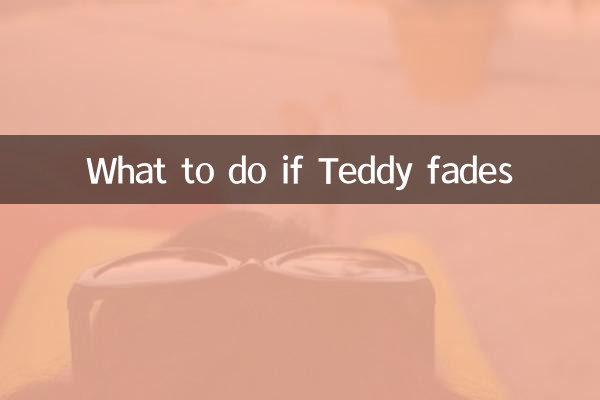 Cosa fare se Teddy svanisce