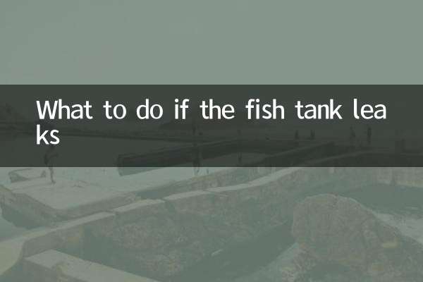 魚缸漏水怎麼辦