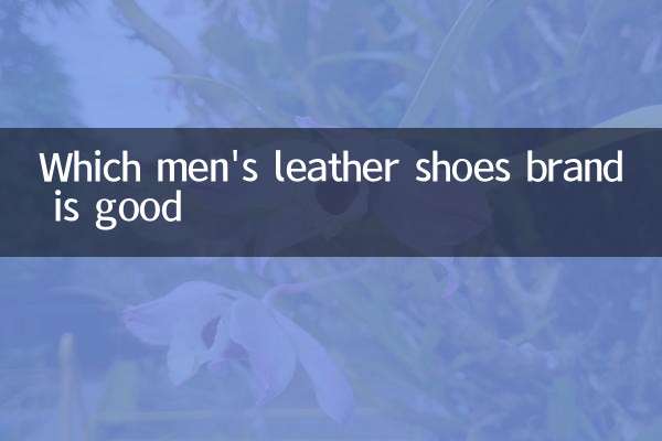 ¿Qué marca de zapatos de cuero para hombres es buena?