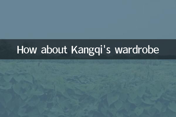 Kangqiのワードローブはどうですか