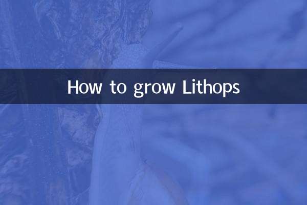 Comment faire pousser des Lithops