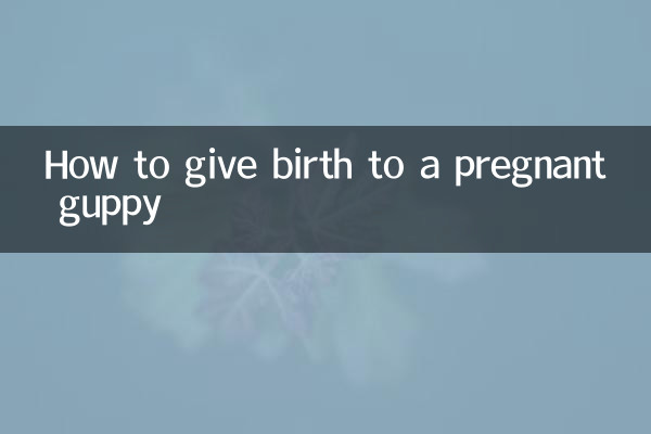 How to give birth to a pregnant guppy