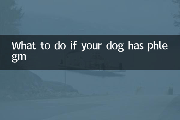 What to do if your dog has phlegm