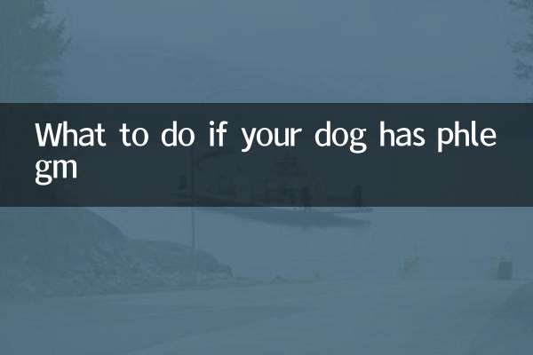 Qué hacer si tu perro tiene flema