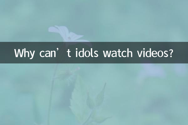아이돌은 왜 영상을 못보나요?