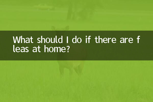What should I do if there are fleas at home?