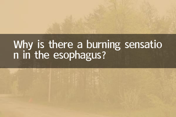 अन्नप्रणाली में जलन क्यों होती है?