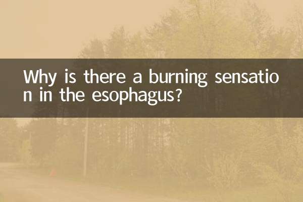 अन्नप्रणाली में जलन क्यों होती है?