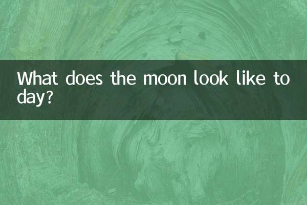 今日の月はどんなふうに見えますか？