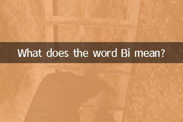 لفظ BI کا کیا مطلب ہے؟