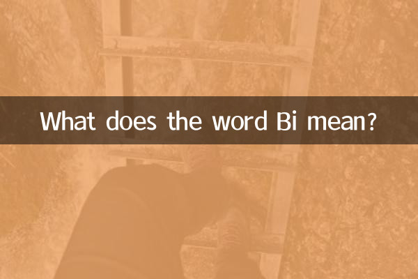 لفظ BI کا کیا مطلب ہے؟