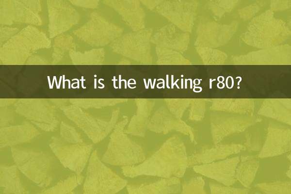 Cos'è il Walking R80?